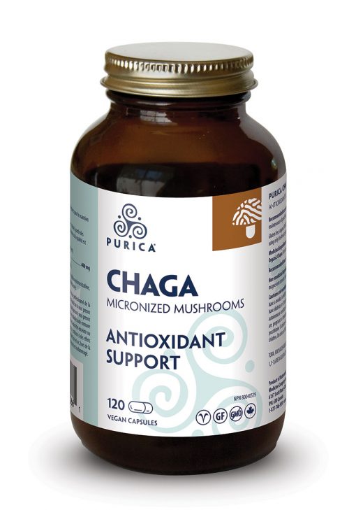 a bottle of chaga antioxidant support