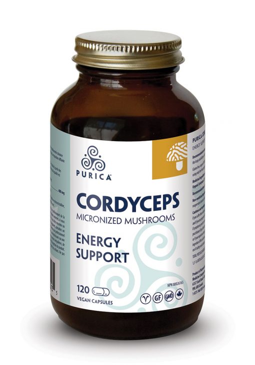 a bottle of cordyceps energy support