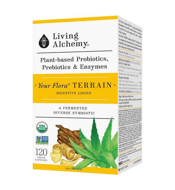 Living Alchemy Your Flora Terrain Digestive Lining