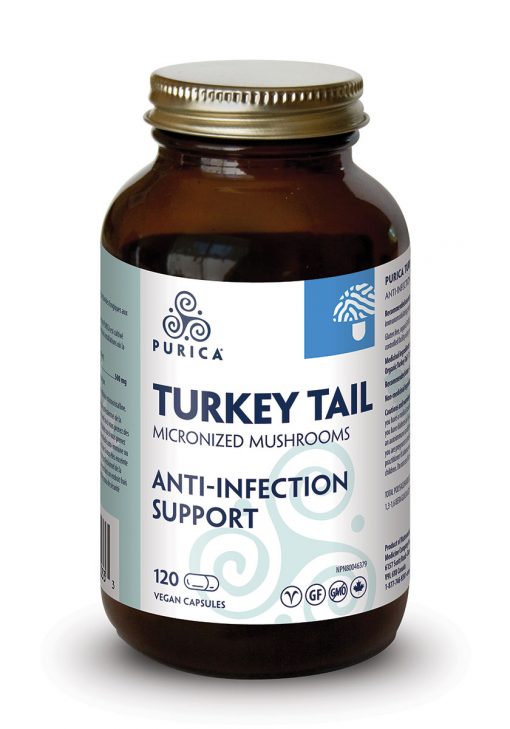 a bottle of turkey tail anti - infection support