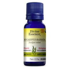 Divine Essence Eucalyptus Radiata