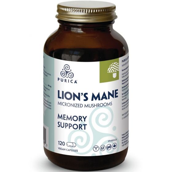 a bottle of lion's mane memory support